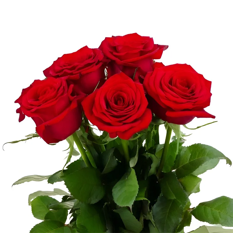 Bouquet de Noël
